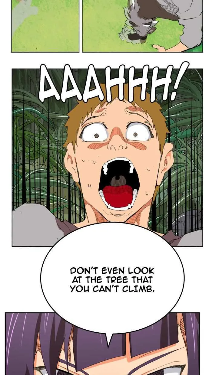 Chapter 325, page 41